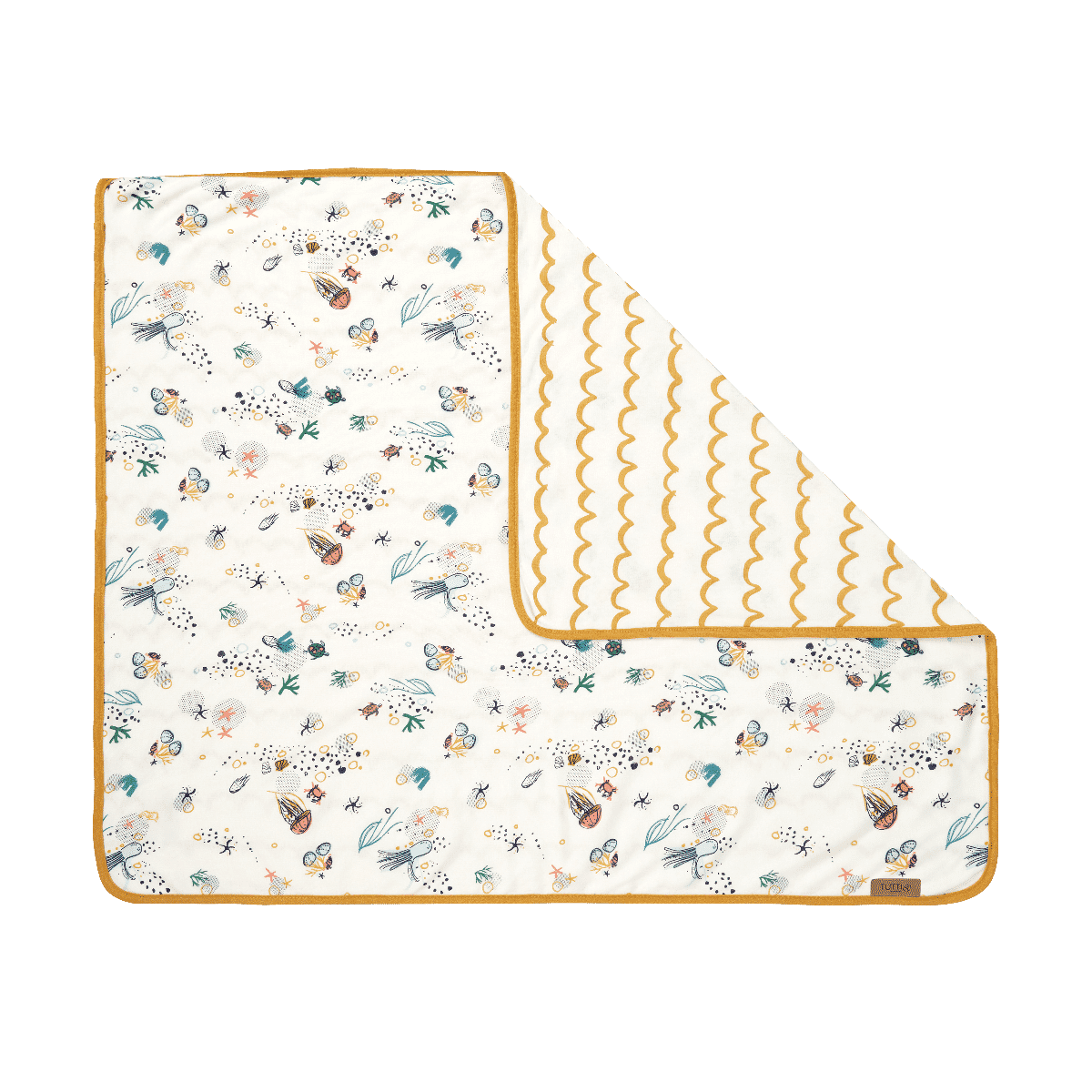 CoZee Bedside Crib Bundle - Our Planet