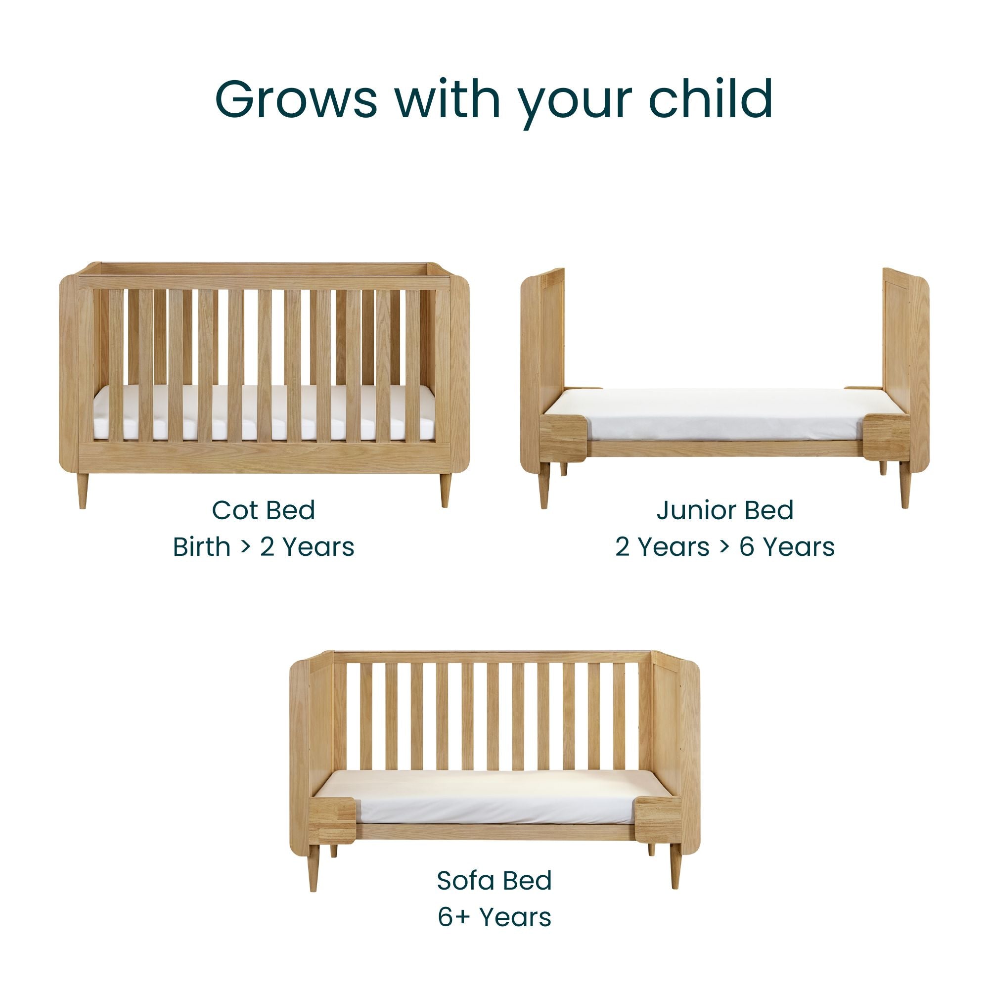 Japandi cot bed in light oak illustrated in cot, toddler, and sofa bed modes with age suitability from birth to 6+ years, showcasing long-term versatility.