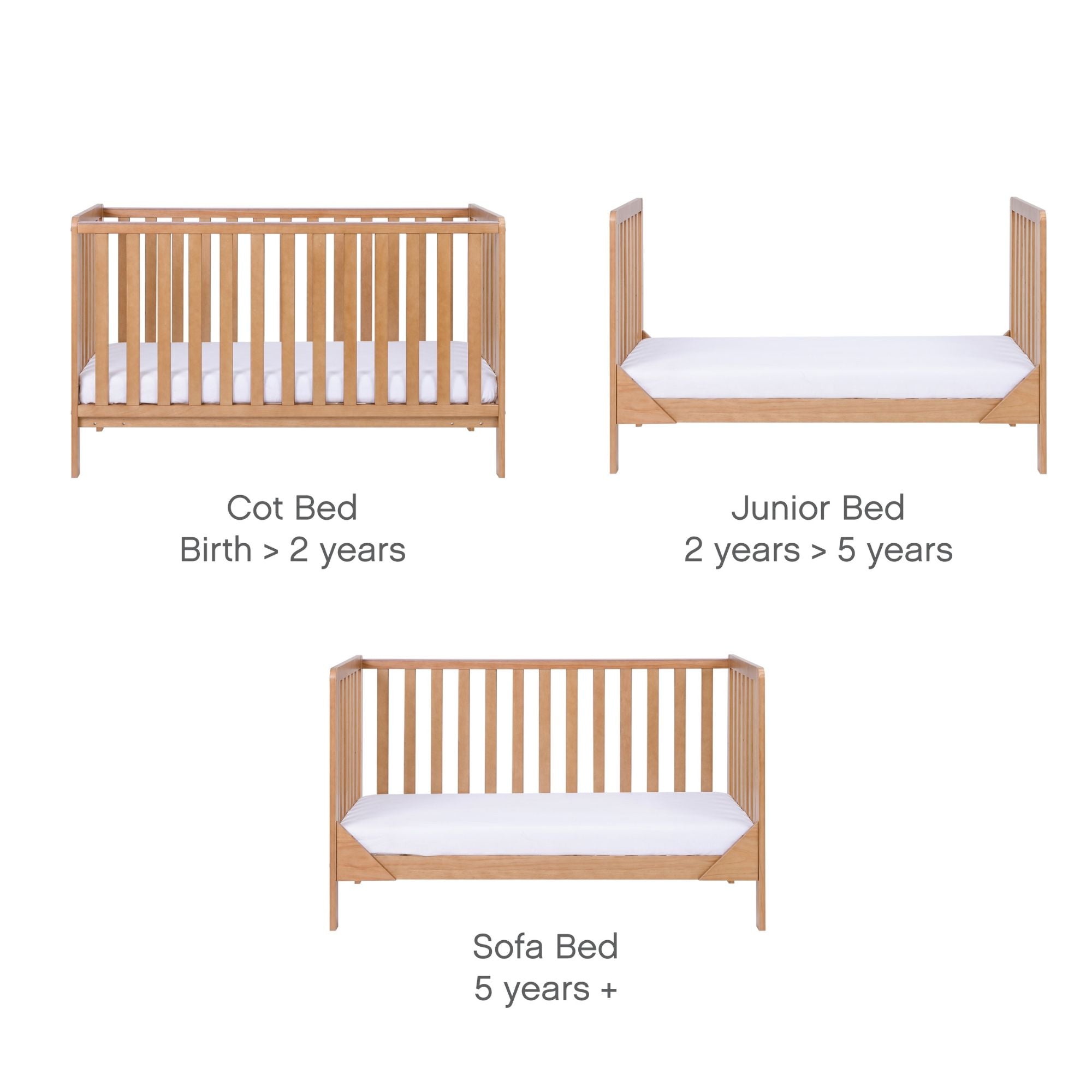 Cutout image showing Malmo cot bed in oak as cot, junior bed, and sofa bed with age guidance, highlighting long-term versatility.