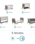 CoZee XL in Oak and Charcoal, showcasing five convertible modes from birth to three years