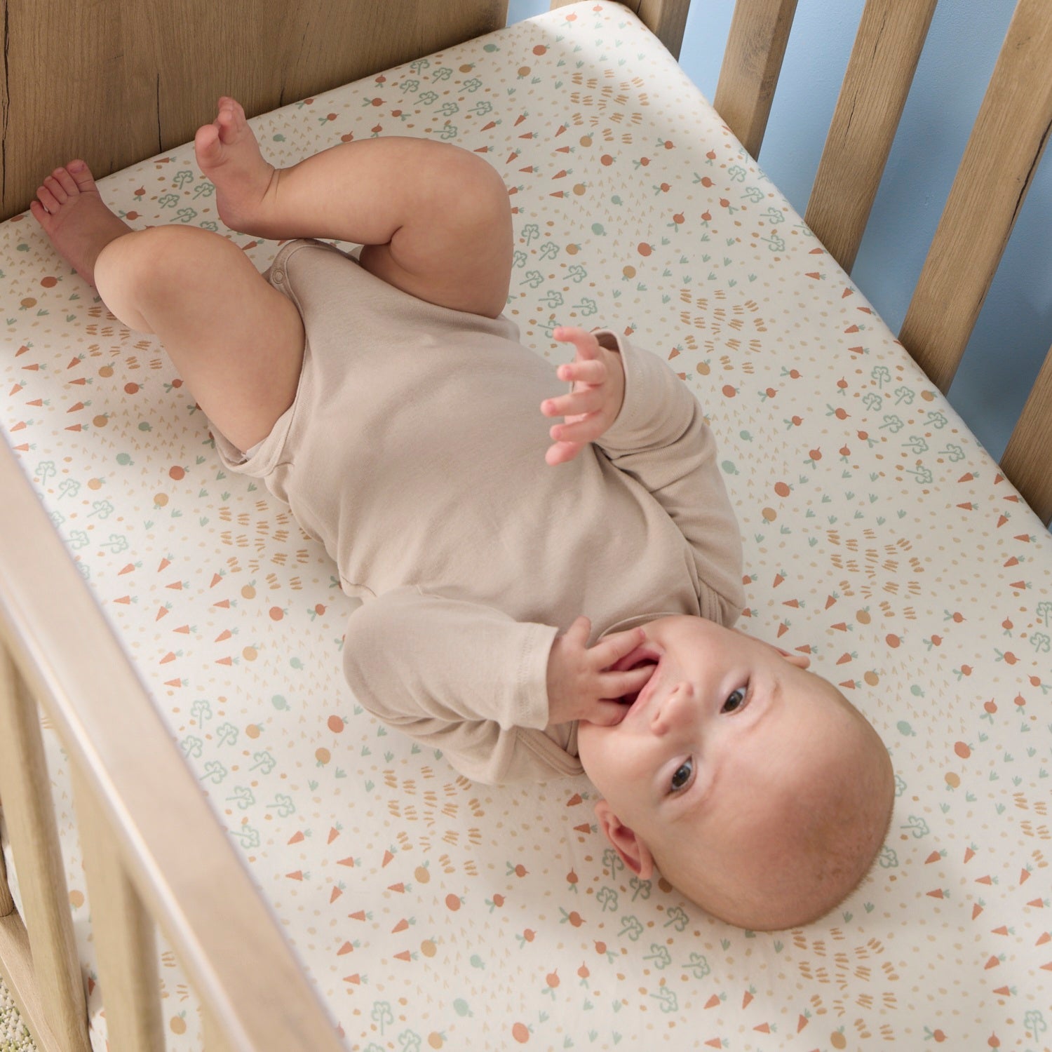 Cot Fitted Sheets 2pk