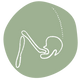 Illustration of a hip on a green background