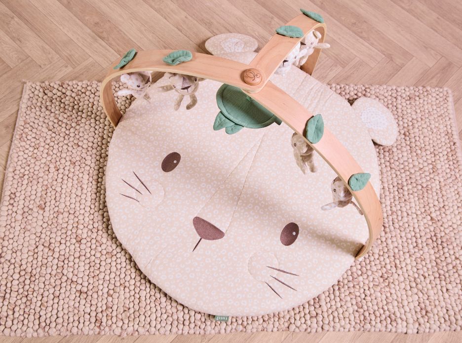 Overhead view of Love Cats luxury wood muslin play gym with padded character mat and curved wooden arches.