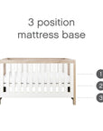 Front-facing view of the Modena Cot Bed in White and Oak with graphics showing the adjustable 3-position mattress base to support baby’s growth stages.
