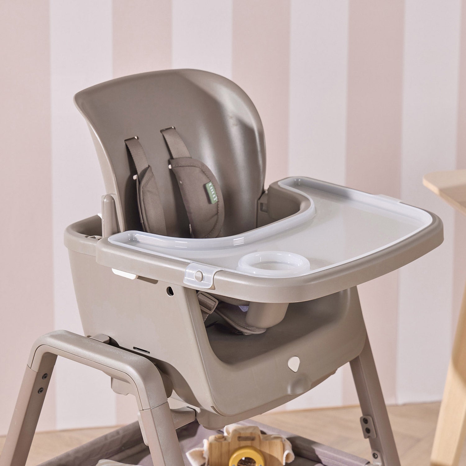nova maison truffle showing a clear, removable tray for easy feeding.