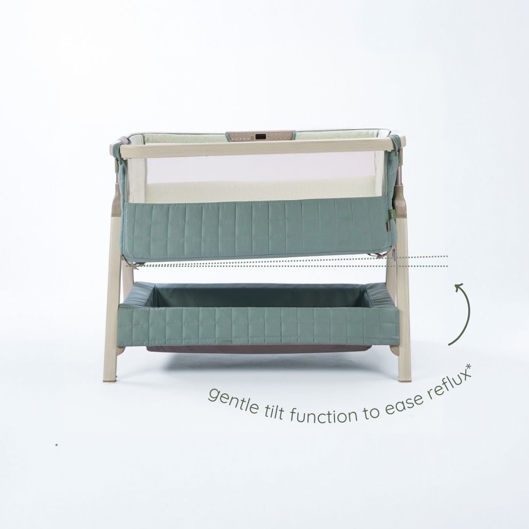 CoZee Air 2 bedside crib in drifted oak and eucalyptus showing 6-step height adjustment and sturdy A-frame legs.