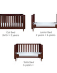 Japandi cot bed in warm walnut shown in cot, toddler, and sofa bed modes, illustrating its versatile 3-in-1 design that grows with your child from birth to 6+ years.
