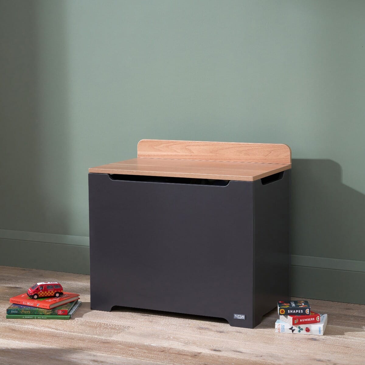 Rio Toy Box